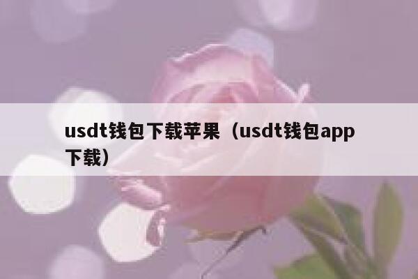 钱包下载地址_钱包下载教程_usdt钱包app下载